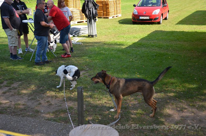 Treffen 2021 - 192